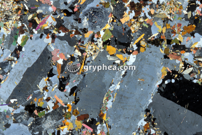 Granite à orthose LPA x2 - gryphea.com